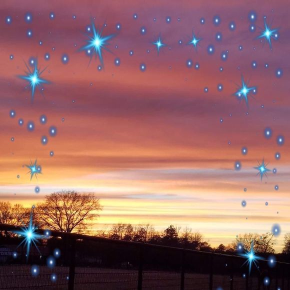 Meet your Posher, Paddy - Picture 1 of 1